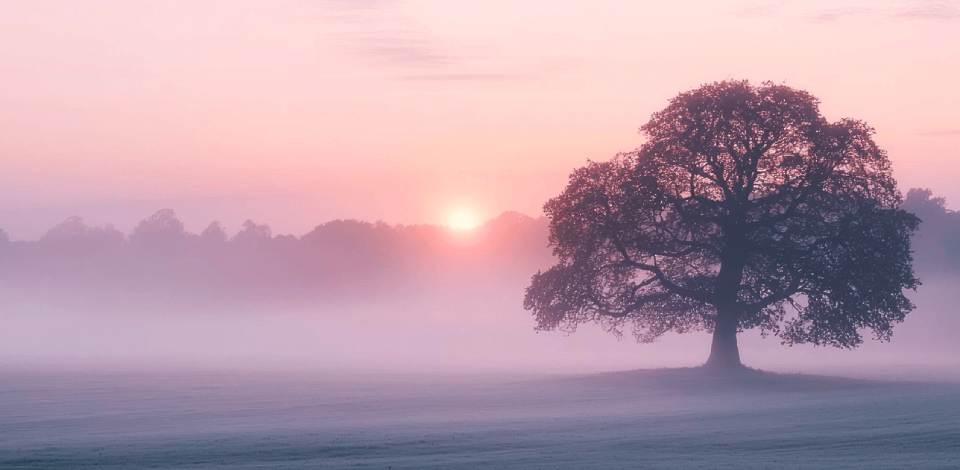 Bonus Tools for Positive Space in Photography