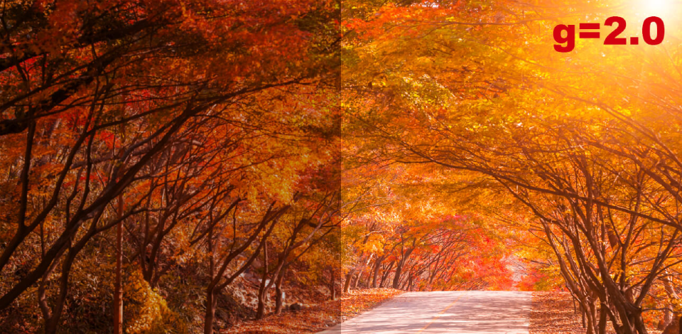 Gamma Correction in Image Processing FAQ