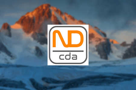 Nicada Digital Marketing Agency Review {{%year}}