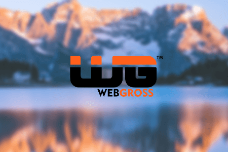 Webgross Digital And Brand Marketing Company Review