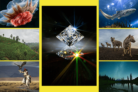 National Geographic Photo of the Year 2023: Winners List