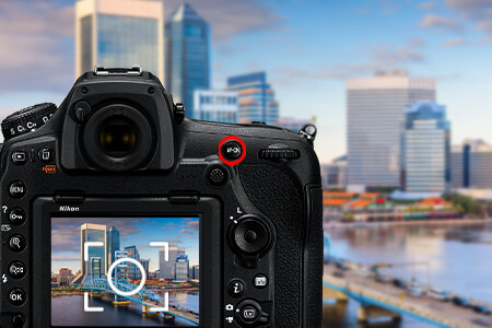 Back Button Focus Guide for Amateurs