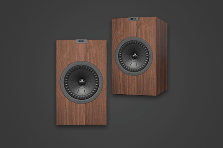 5 Best Audiophile Speakers in {{%year}}