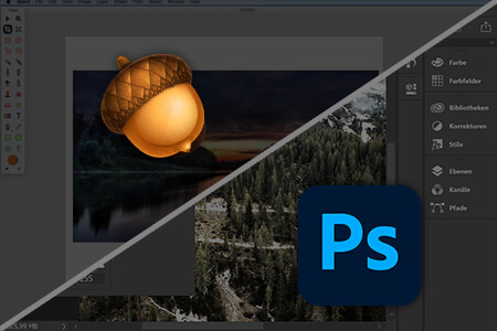 Acorn vs Photoshop