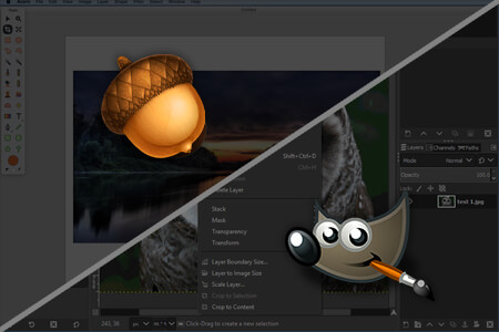 Acorn vs GIMP