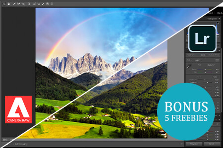 Camera Raw Vs Lightroom