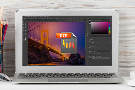 DCR File Format Info {{%year}}