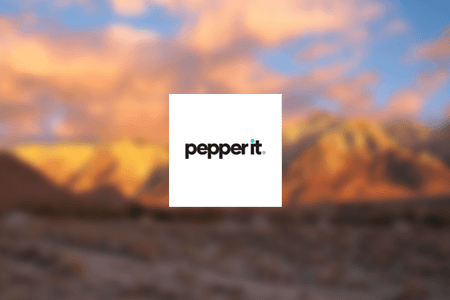 Pepperit Marketing Agency Review: Pros & Cons
