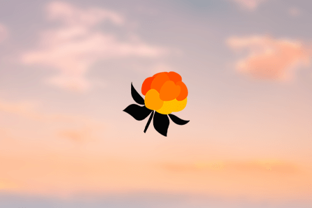 ARCPanel Luminosity Masks Review {{%year}}