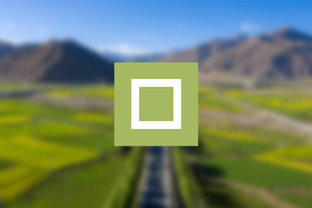 Savvycom Software Product Development Company Review