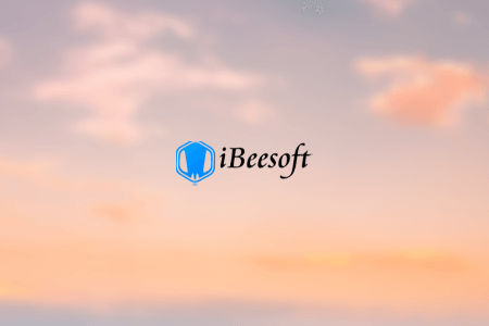 iBeesoft Data Recovery Software And Duplicate File Finder Review {{%year}}