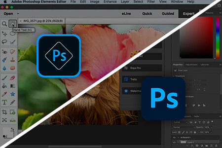 Photoshop Elements vs Photoshop: Which Is Better?