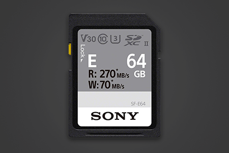 9 Best SD Cards For Sony A7III in {{%year}}