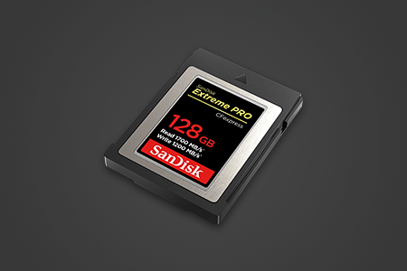 9 Best Memory Cards For Nikon D850 in {{%year}}