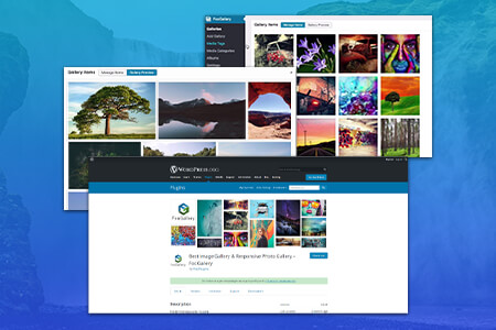 How To Set Up A Photo Gallery On Your Wordpress Site