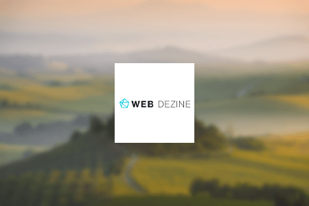 Web Dezine WordPress Development Company Review: Pros & Cons