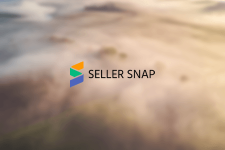 Seller Snap - Ai Powered Amazon Repricer Software Review {{%year}}