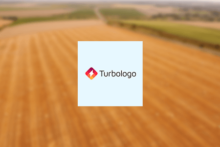 Recensione di Turbologo Logo Creator {{%year}}