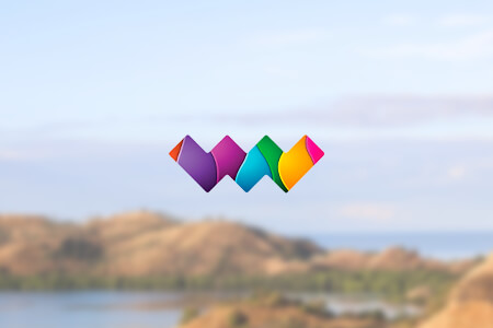 Webnet Web Development Company Review: Pros & Cons