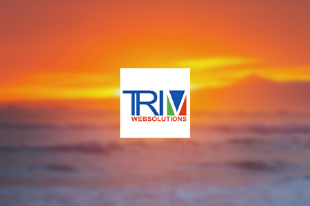 Trimwebsolutions - Website Designing And Website Development Company Review