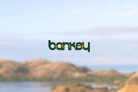 Bankey Digital Solutions Web Design Agency Review {{%year}}