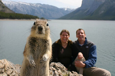 Funny Animal Photobombs Ever Captured