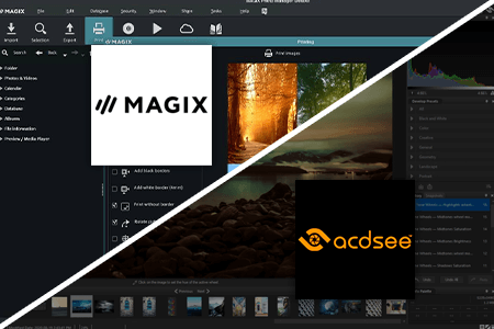 Magix Photo Manager vs Acdsee: What Program To Choose