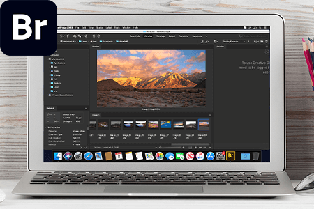 22 Adobe Bridge Tutorials for Beginners in {{%year}}