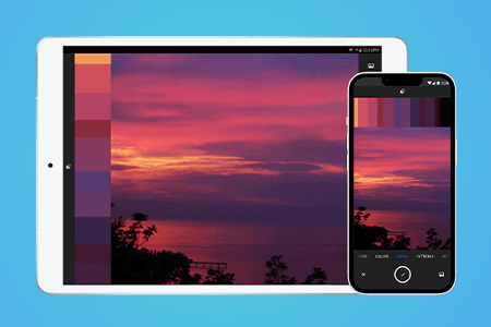How to Use Adobe Capture: Guide for Beginners