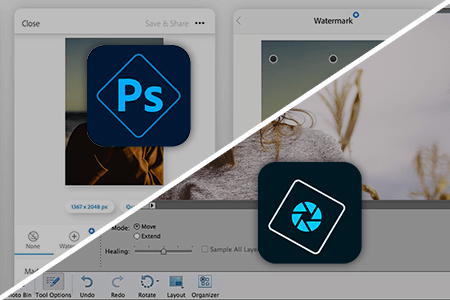 Photoshop Express vs Photoshop Elements: What to Choose