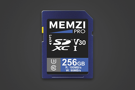 7 Best SD Cards For Sony A6100 in {{%year}}