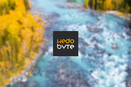 Reseña de la Agencia de Marketing Digital WedoByte {{%year}}: Pros & Contras