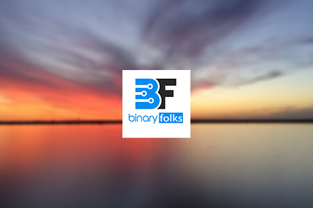 BinaryFolks - Custom Software Development Development Company Review {{%year}}