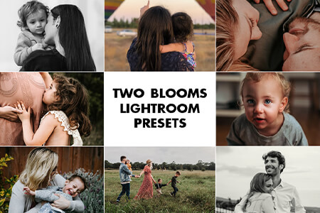 مراجعة بريستس (Presets) لبرنامج Lightroom من Two Blooms