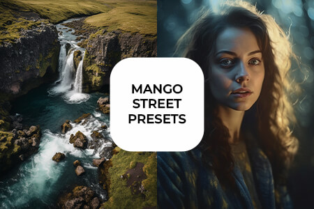 Mango Street Presets Review
