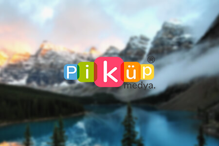 Piküp Medya Dijital Pazarlama Ajansı İncelemesi: Artıları ve Eksileri