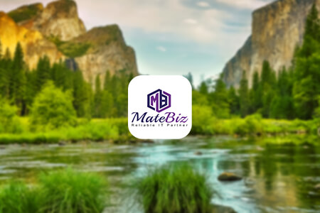 Matebiz Web Development Company Review {{%year}}: Pros & Cons