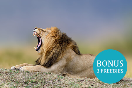 Wildlife Photography Tips & Techniques