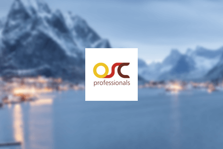 OSC Professionals - Digital Ecommerce Agency Review: Pros & Cons