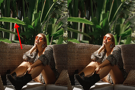 Zamutite pozadinu u 1 klik