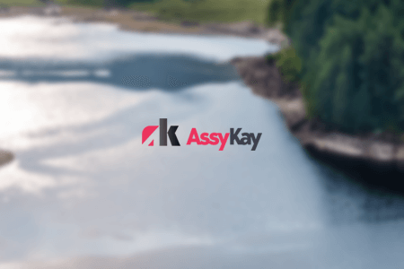 Assy Kay Website Designer Services Review: Pros & Cons