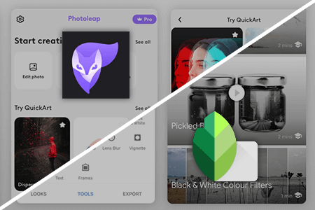 Enlight Photofox vs Snapseed: What App to Choose