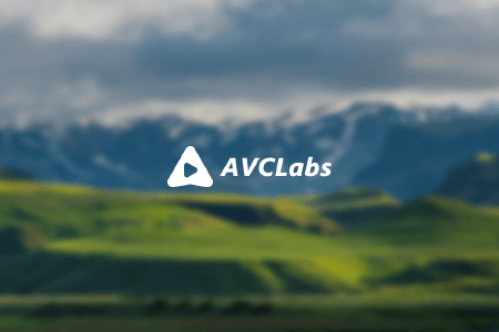AVCLabs AI Products Review {{%year}}: Pros and Cons