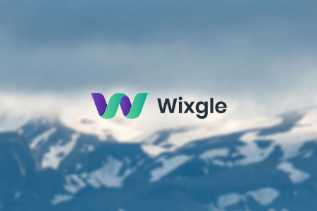 Wixgle Web Development & Marketing Company Review