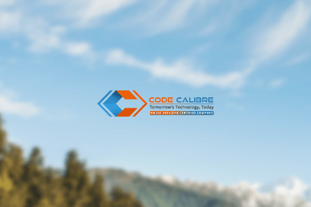 Code Calibre Web Development Company Review {{%year}}