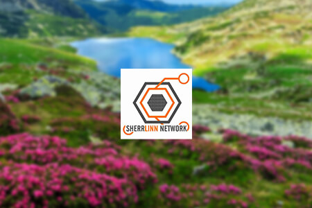 Sherrlinn Network Company Review {{%year}}: Pros & Cons