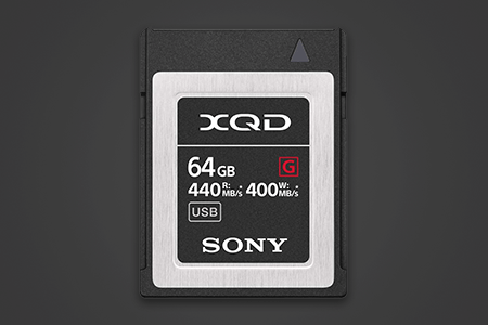 3 Best XQD Cards for Nikon D500 in {{%year}}