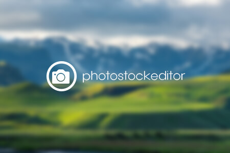 PhotoStockEditor Review {{%year}}: Find Photos for Commercial Use