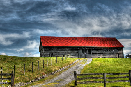 Meredith Images Review: Workshops & Courses 