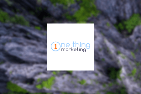 One Thing Marketing Web Design Services Review {{%year}}
